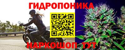 мдпв Кандалакша
