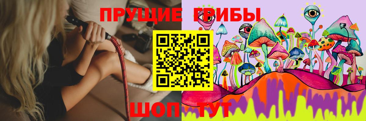 Псилоцибиновые грибы Cubensis  Псилоцибиновые грибы мухоморы  Верхняя Пышма  Вход с VPN 